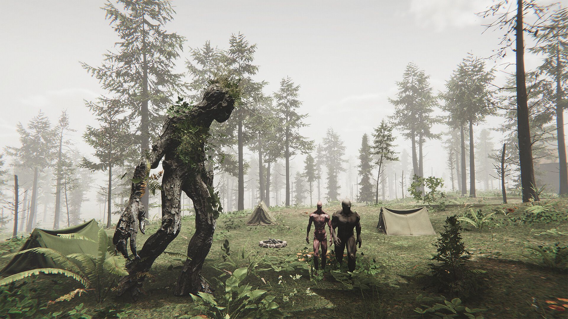 The Silent Wild screenshot 4