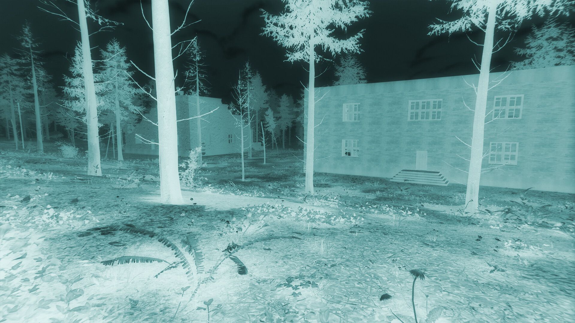 The Silent Wild screenshot 5
